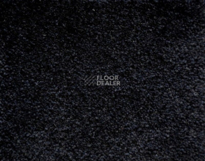 Ковролин Radici Lord Onice 249B фото 1 | FLOORDEALER